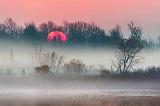 Misty Sunrise_30240